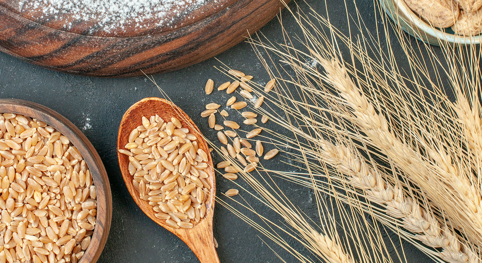 Ezta Agro | Natural, Safe and Healty